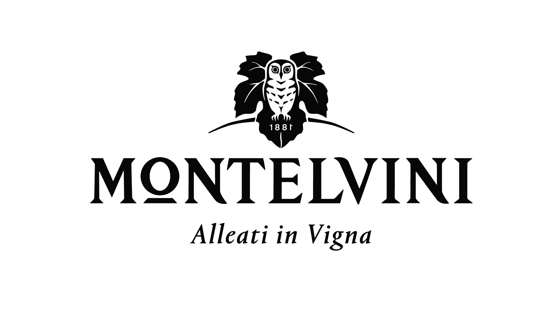 sponsor di street food garden Montelvini